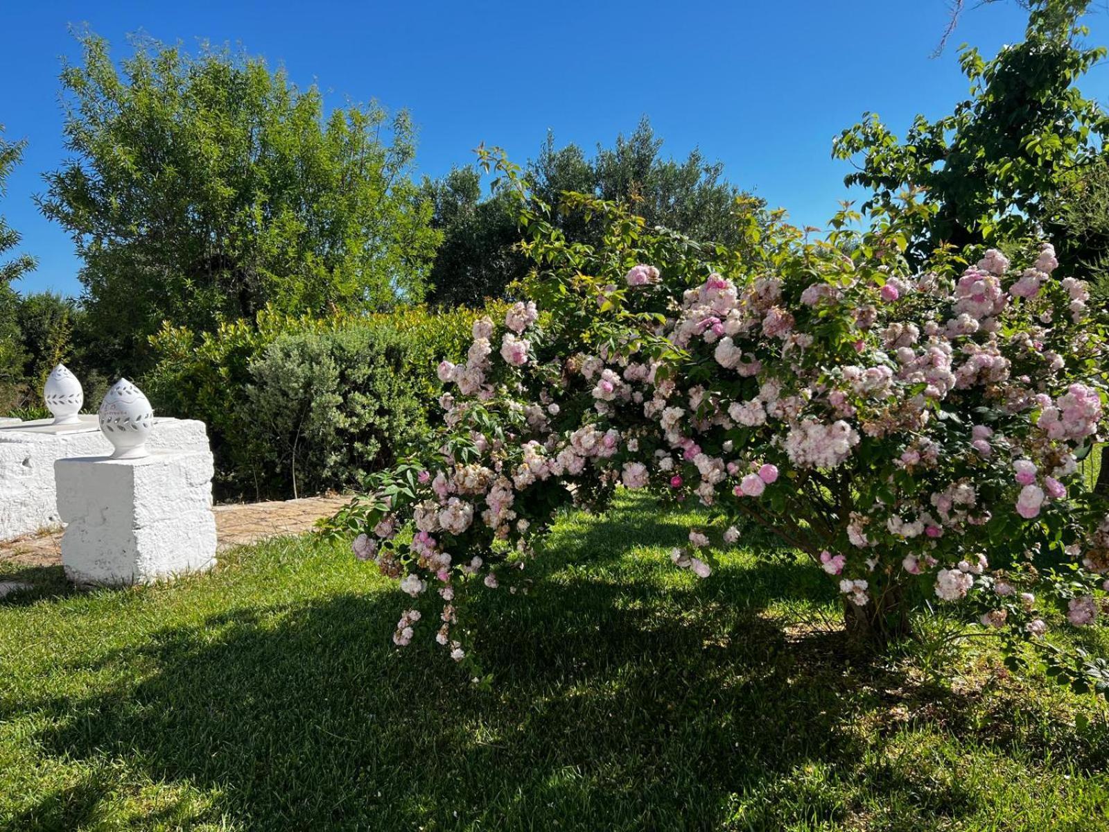 B&B Don Giovanni Monopoli Exterior foto